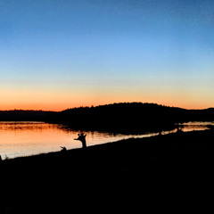 Lightning Bug Lullaby Above a Calm Lake