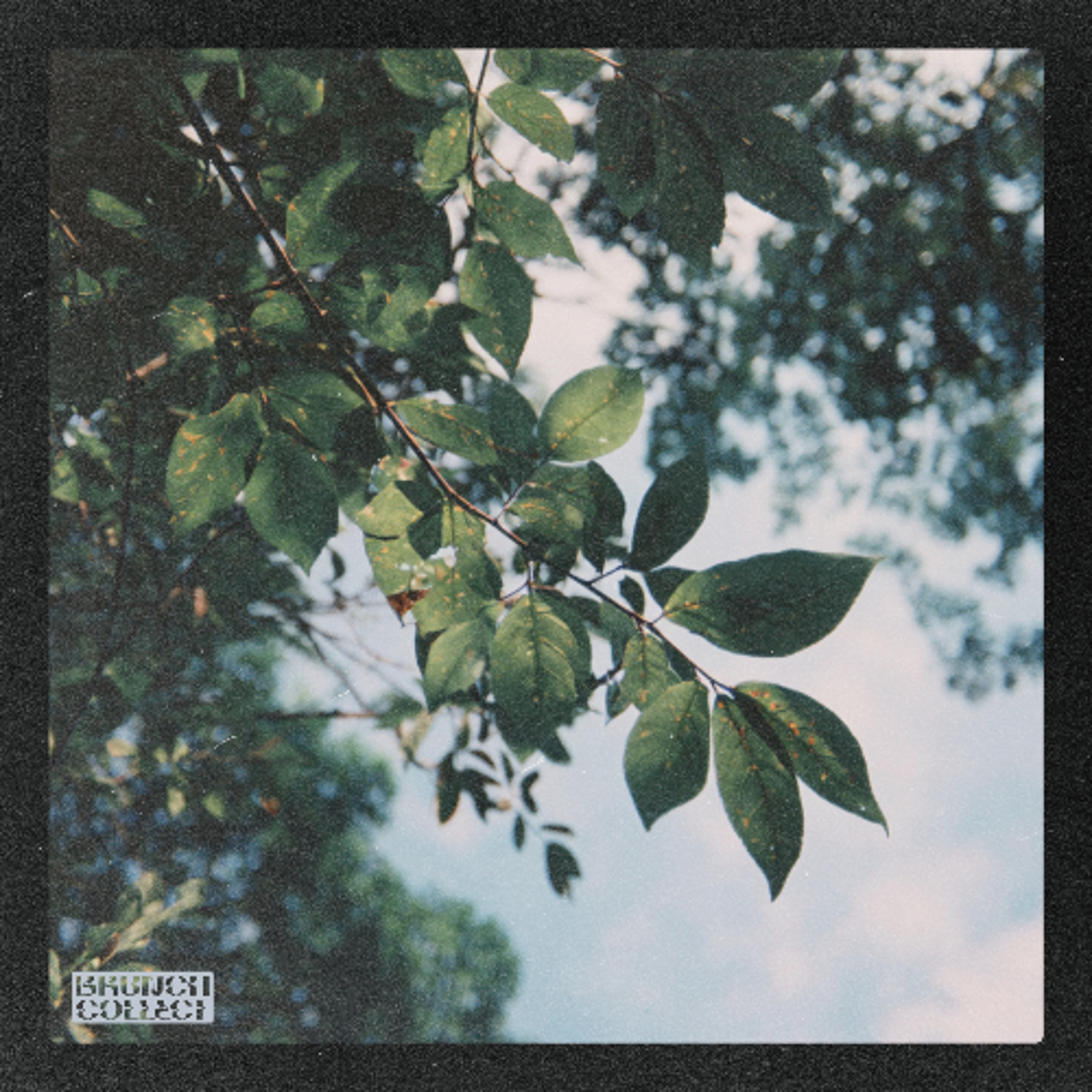 MujjO x VibeWithLeafy - Honest Healing episode artwork