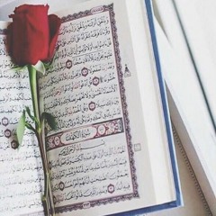 مليكة قلبي| بلال الأحمد💚