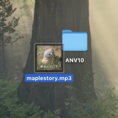 maplestory (ANV10 submission)