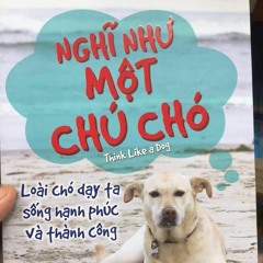 Mật Ngọt- DungHoangPham Drfourkt RMX
