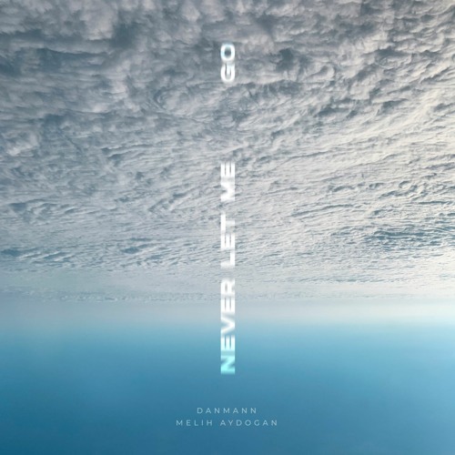 Danmann, Melih Aydogan - Never Let Me Go