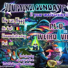 Puri DJset - Suomisaundi Sundays 2 years anniversary edition - Sep 2024