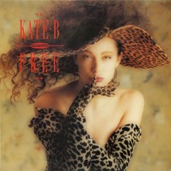 TB12 *identified as Kate B – Free (Instrumental)*