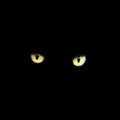 hindsight (prod. by ghowste)
