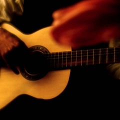 Profesor De Estrelas performed by Norberto Jurasek