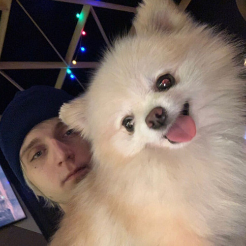 путана притистрит