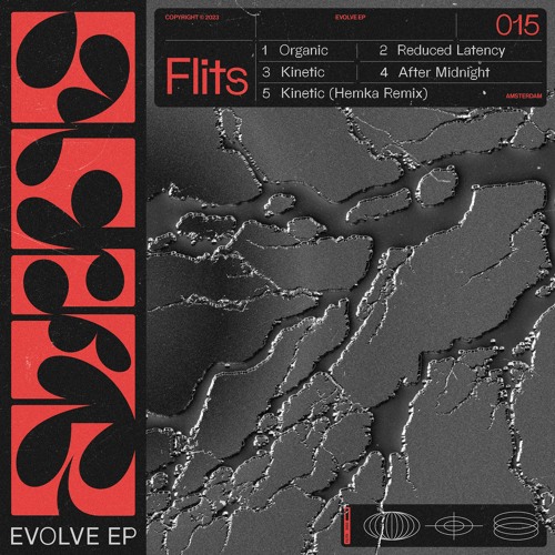 Flits - Reduced Latency [FLITS015]