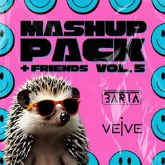 BARTA, VEIVE & Friends Mashup Pack Vol. 5 [+BONUS TRACKS]