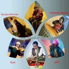 Leela - Organic Sounds