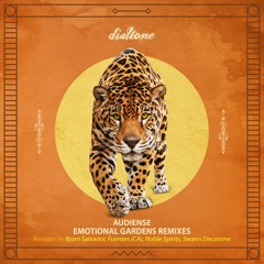 PREMIERE: Audiense - Come To The Garden (Swann Decamme Interpretation) [Dialtone Records]
