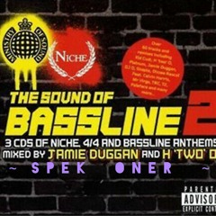 Paleface - Do You Mind (Crazy Cousins Remix) [The Sound of Bassline 2 - CD3] BASSLINE TUNE