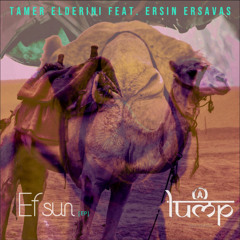 Efsun - Tamer Elderini Ft Ersin Ersavas ( Original Mix )