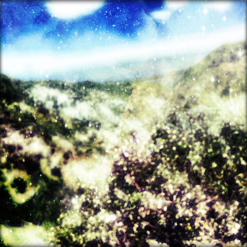 Let It Ride (Prod. purls)