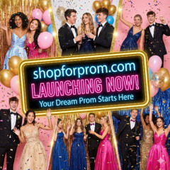 ShopForProm.com - Why We Are Well-Positioned To Execute