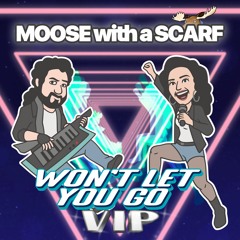 Won't Let You Go - VIP