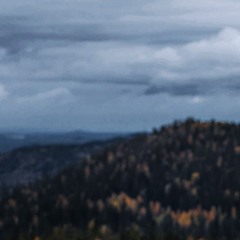waiting for autumn