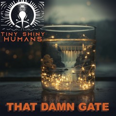 That Damn Gate