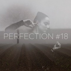 PERFECTION #18