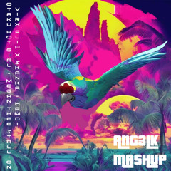 OTAKU HOT GIRL X SKANKA [ANG3LK MASHUP]