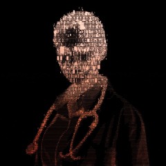 Echoborg