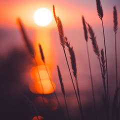 Tomorrow is a new day