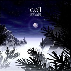 Архівний ПЕРЕВИПУСК №35:  Coil - 02_Red_Birds_Will_Fly_Out_Of_The_East_And_Destroy_Paris_In_A_Night