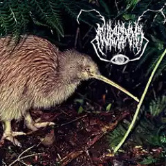 "Kiwi Bloodbath of Broken Hearts"