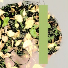 Echo chamber questions only