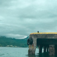 Wolves (Matthew Houck)