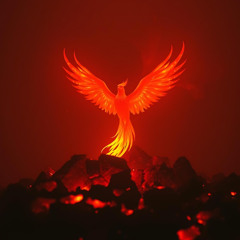 From the Ashes