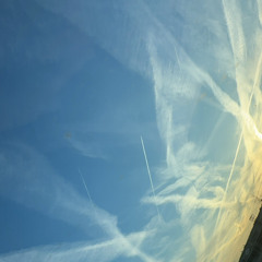 Phoenix Walk prod bythewave