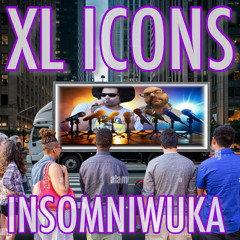 InsomniWuka - You Know It's On