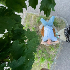 BIST DU ALLEIN
