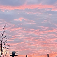 KING Poetic - COLD SUMMER -