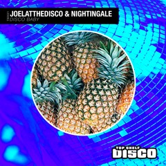 Nightingale & JoelAtTheDisco - Disco Baby (Extended Mix)