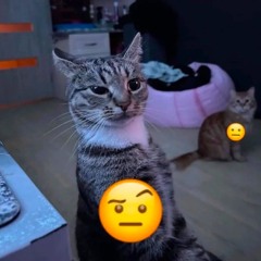 Playlist Thái Hoàng x S.Lex Vol 2 - Not Vink Mix