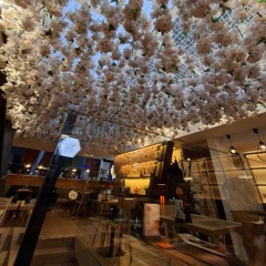 PARTY - mlody weed, mlodyvin