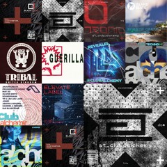 Record Label Mixes