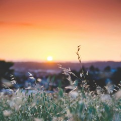 Walking in Faith With the Most High...