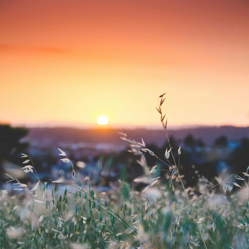 Walking in Faith With the Most High...