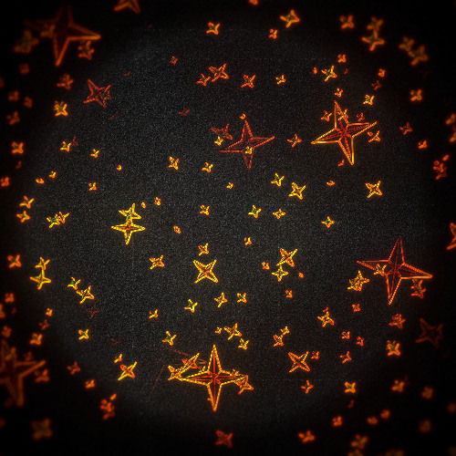 look for me in the stars