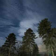 think f r e e nights