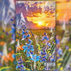 SummerNights [Prod. delucx]