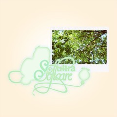 Ultrasoftcare : POMO invite Mayashiba (27.11.24)