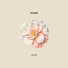 PREMIERE: Lost Masson - Slow Down [Magpie]