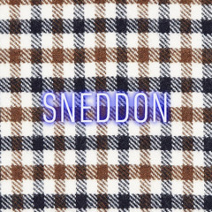 SNEDDON - I'LL FLY WITH YOU