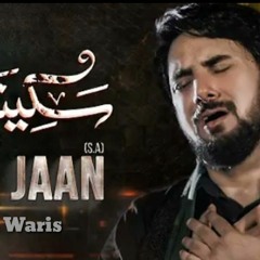 Sakina (s.a) Jan  --  Farhan Ali Waris  --  Farsi  --  2021