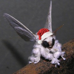 Dance of tha Sugar Plum Fairy (Icarus Moth Remix)