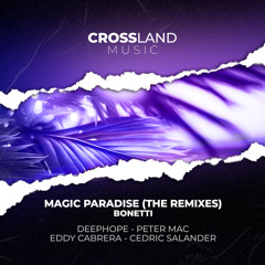 Magic Paradise (Cedric Salander Remix)